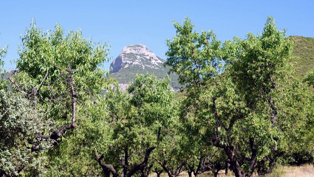 Ruta Saludable: Lierta - Arascués - Nueno